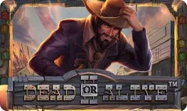 vegashero aplicação